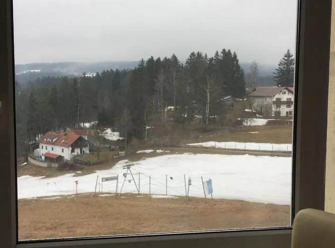 Dreisessel Dreilaendereck Pool Sauna Lejlighed Neureichenau