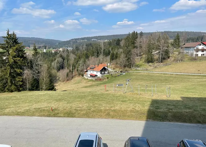 Dreisessel Dreilaendereck Pool Sauna Apartmán Neureichenau